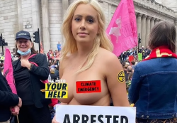 Чистый протест          