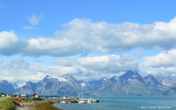Красная Арктика