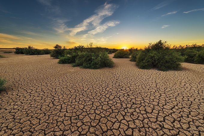 В некоторых районах Австралии почва разогревается до 68 градусов Цельсия