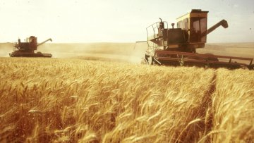 Европейский бизнес опасается инвестировать в аграрный сектор Украины