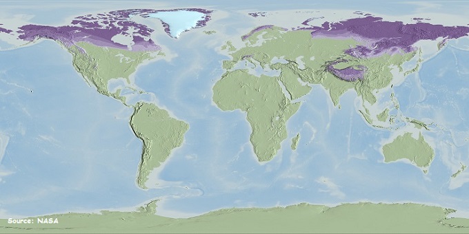 Карта распространения вечной мерзлоты на земном шаре