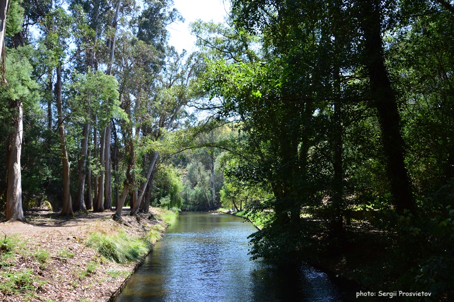 Купание на Praia Fluvial da Lapa