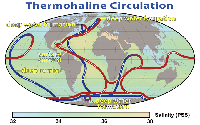 Вот так современная наука видит схему термохалинной циркуляции океанских течений