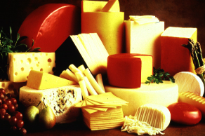 Как организовать собственное производство сыра