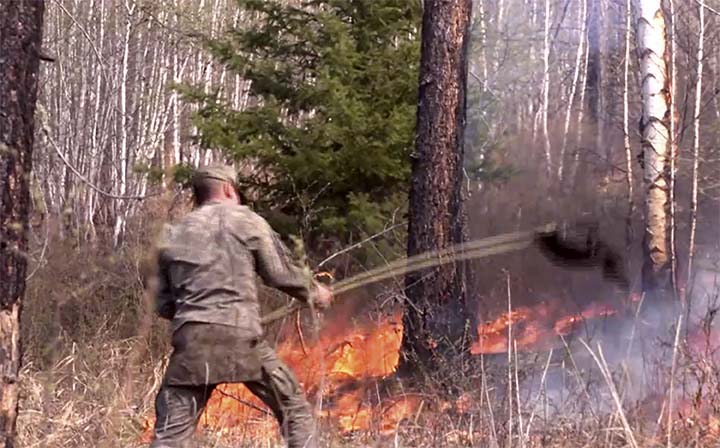 Лесные пожары в Республике Тыва. Фотографии Tuva24
