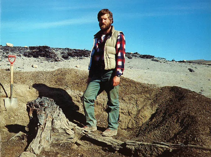 Ученый Джеймс Бейсингер возле пня, который является остатками леса возрастом 45 миллионов лет на острове Аксель Хейберг в высоких широтах Арктики
